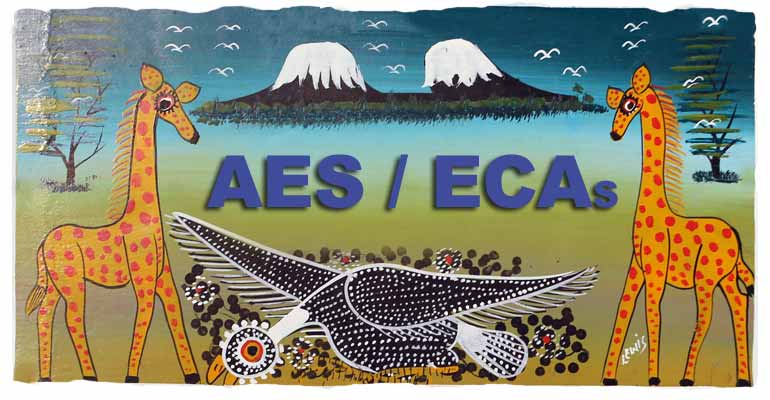 AES 2017-2018: tout un programme !