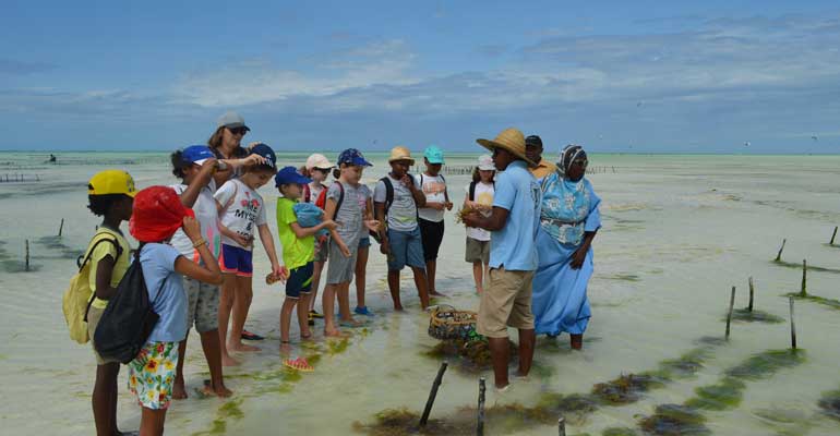 Classe de découverte à Zanzibar pour les CE2A